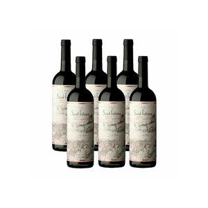imagen de Set De 6 Botellas De Vino Tinto Saint Felicien Cabernet-Merlot 750 Ml (247)