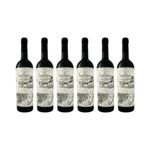 imagen de Set De 6 Botellas De Vino Tinto Saint Felicien Cabernet Franc 750 Ml (2540)