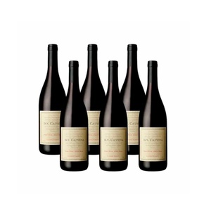 imagen de Set De 6 Botellas De Vino D.V. Catena Pinot Noir - Pinot Noir 750 Ml (2306)